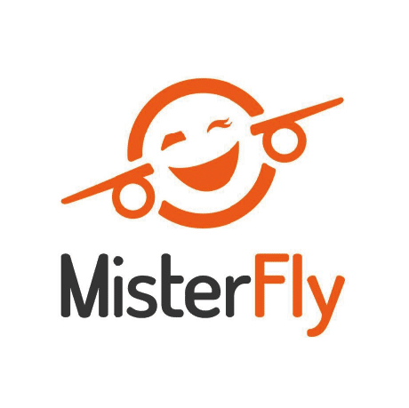 Mister Fly