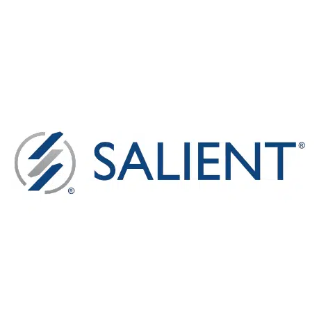 Logo saillant